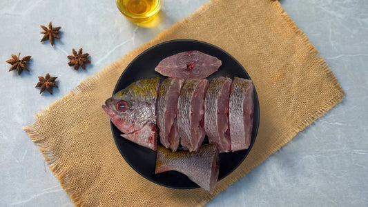 Yellow tail Fusilier/ Yellow back fusilier